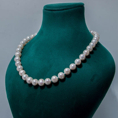 AO Number 1 freshwaterpearl necklace white 8-9mm